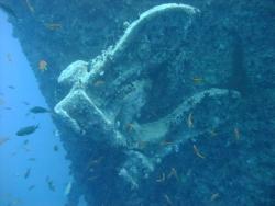 Red Sea Thistlegorm anchor