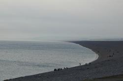 Evening diving at Chesil Beach - perfect conditions!